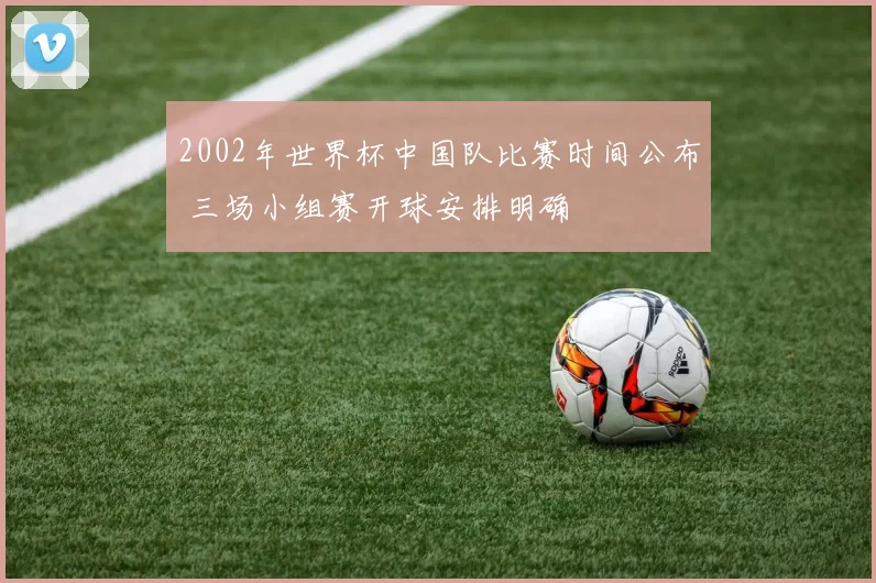 2002年世界杯中国队比赛时间公布 三场小组赛开球安排明确